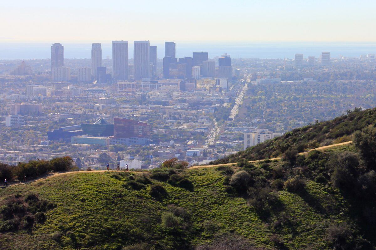 op-programs-tailored-to-your-needs-in-los-angeles-ca